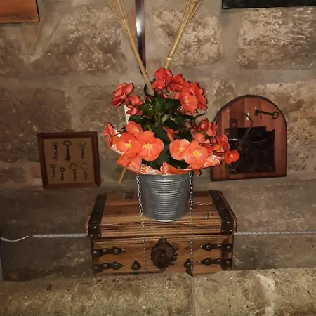 Homestay Turistico 